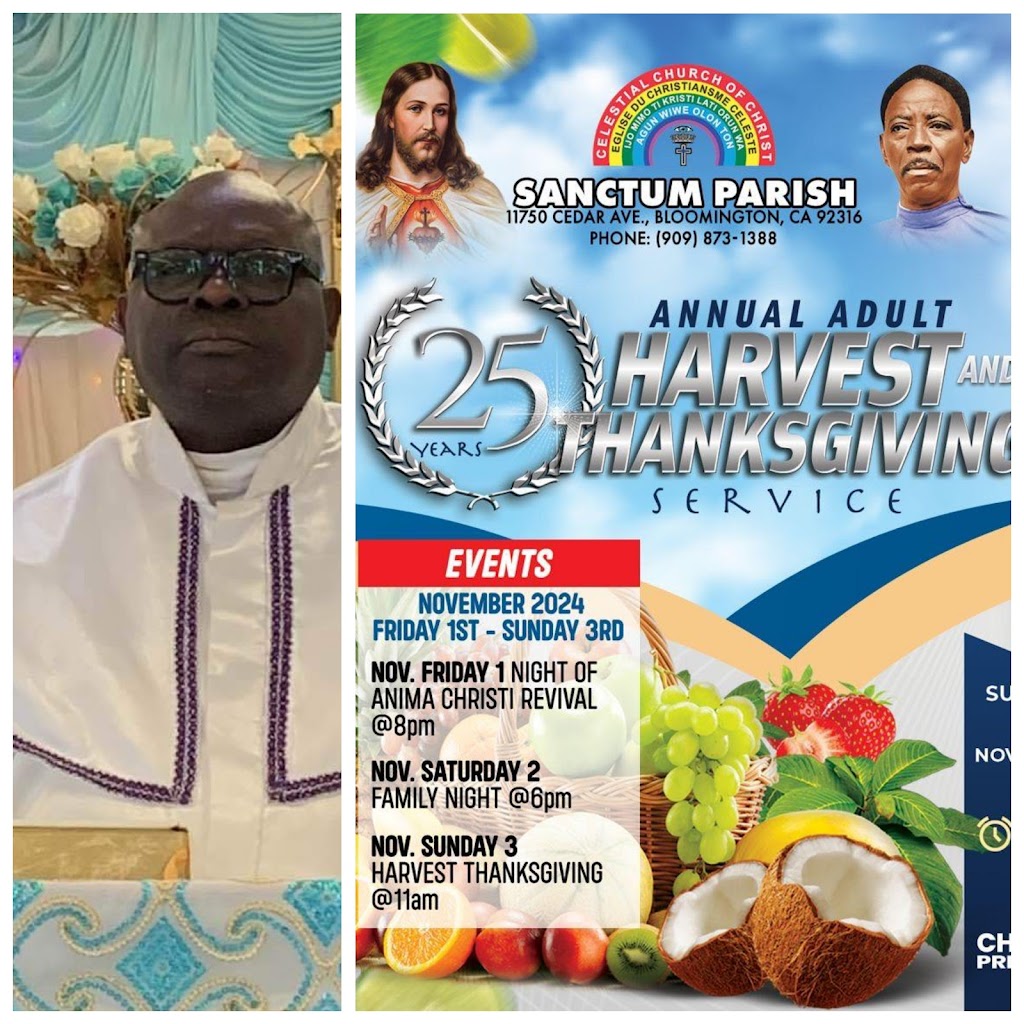 V/S/E Yomi Dodo Williams to Host Harvest of Anima Christi