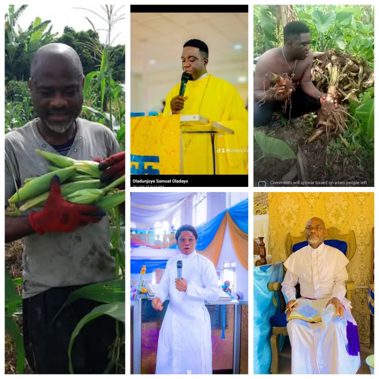 CELESTIANS MEMBERS AND AGRICULTURAL SECTOR IN NIGERIA.
