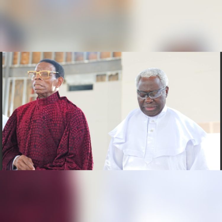 THE EFFECT OF THE U.S.A GOVERNMENT SHUTDOWN: ECONOMIC IMPLICATIONS FOR CHURCHES, a Celestial Church Perspective